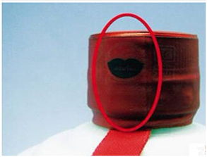 分身有術 神奇的全息技術 3